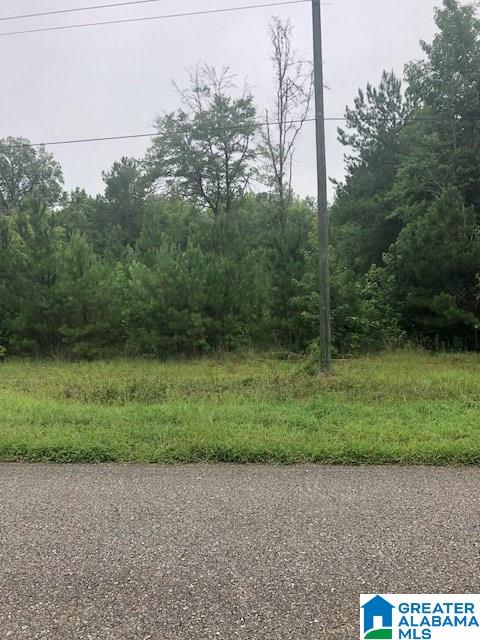 Berney Station Road, Unit 9 5 Lineville, AL 36266 - Photo 3 of 5