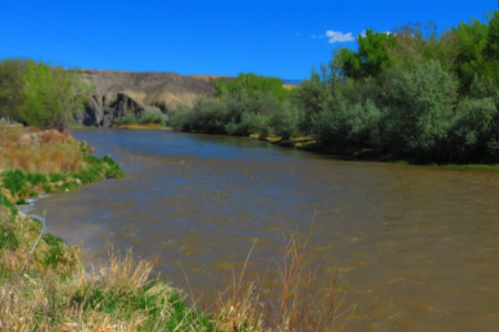 Tbd Homestead Road Delta, CO 81416 - Photo 13 of 17 Gallery Image 13