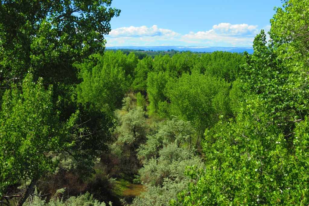 Tbd Homestead Road Delta, CO 81416 - Photo 14 of 17 Gallery Image 14