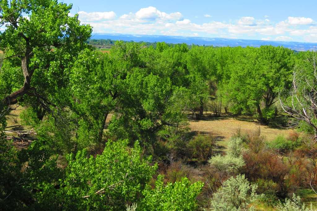 Tbd Homestead Road Delta, CO 81416 - Photo 16 of 17 Gallery Image 16