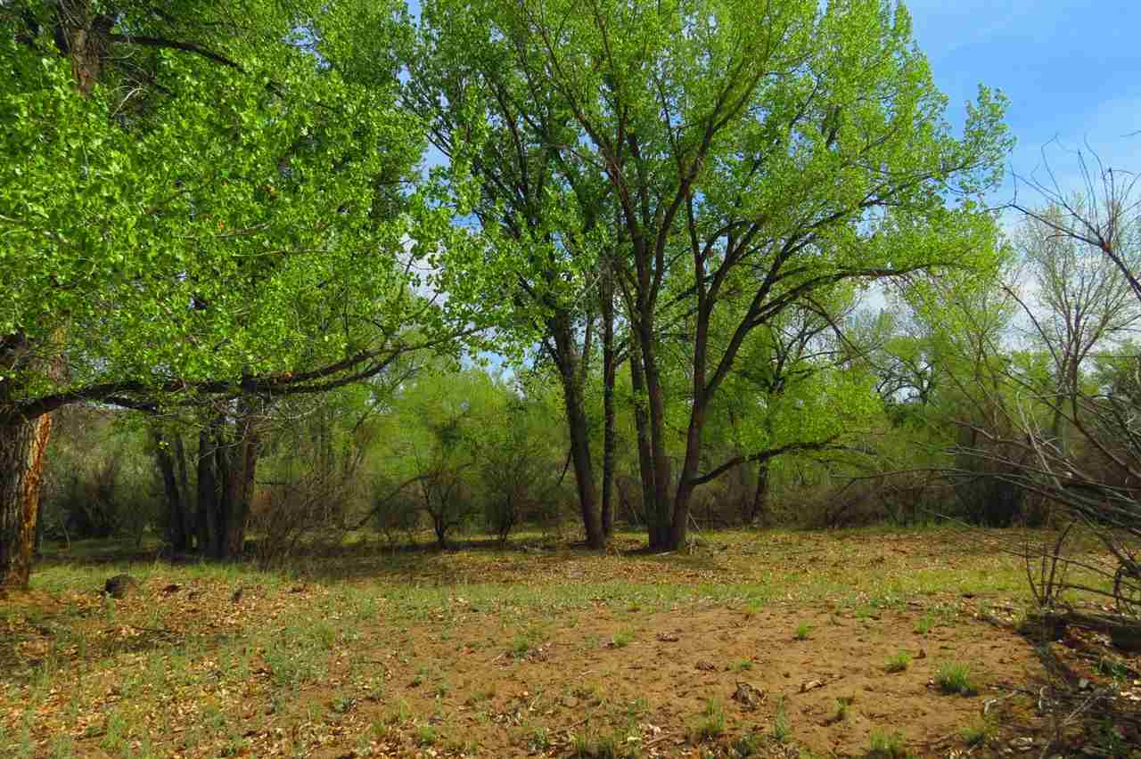 Tbd Homestead Road Delta, CO 81416 - Photo 2 of 17 Gallery Image 2