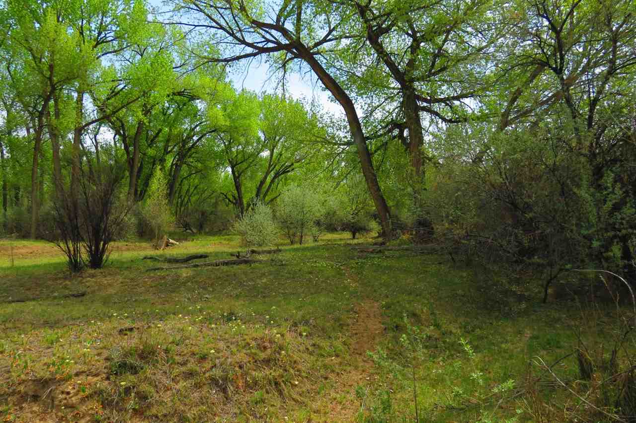 Tbd Homestead Road Delta, CO 81416 - Photo 4 of 17 Gallery Image 4