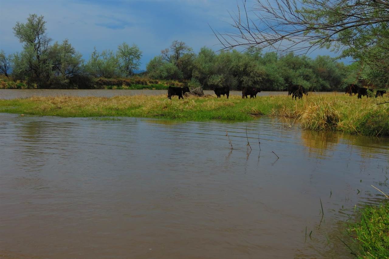 Tbd Homestead Road Delta, CO 81416 - Photo 5 of 17 Gallery Image 5