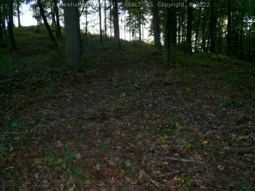 0 Mt Alpha Road Charleston, WV 25304 - Photo 2 of 4 Other.