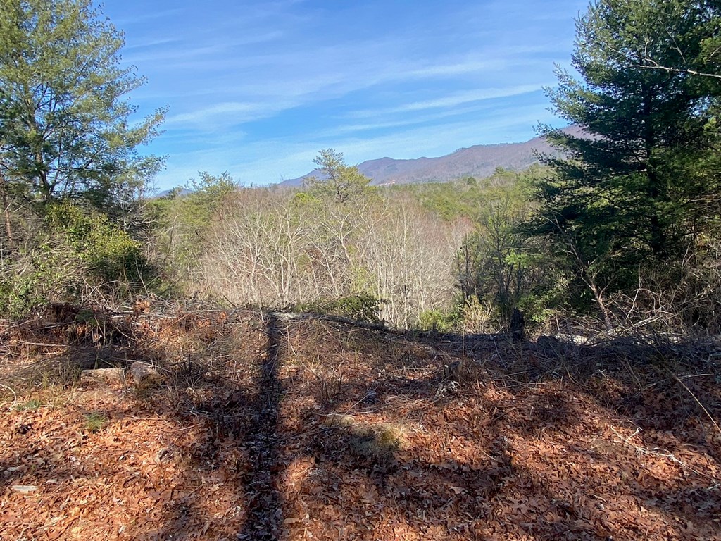 Tbd Hidden Lane Murphy, NC 28906 - Photo 2 of 3 a view of mountain with sunset in background