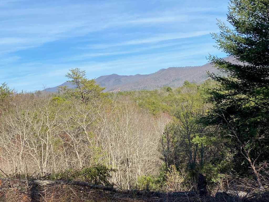 Tbd Hidden Lane Murphy, NC 28906 - Photo 3 of 3 a view of a lake with mountains in the background