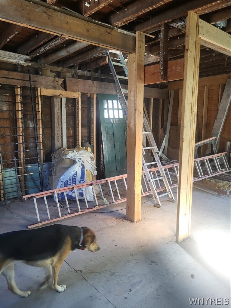 298 Normal Avenue Buffalo, NY 14213 - Photo 42 of 44 inside shed