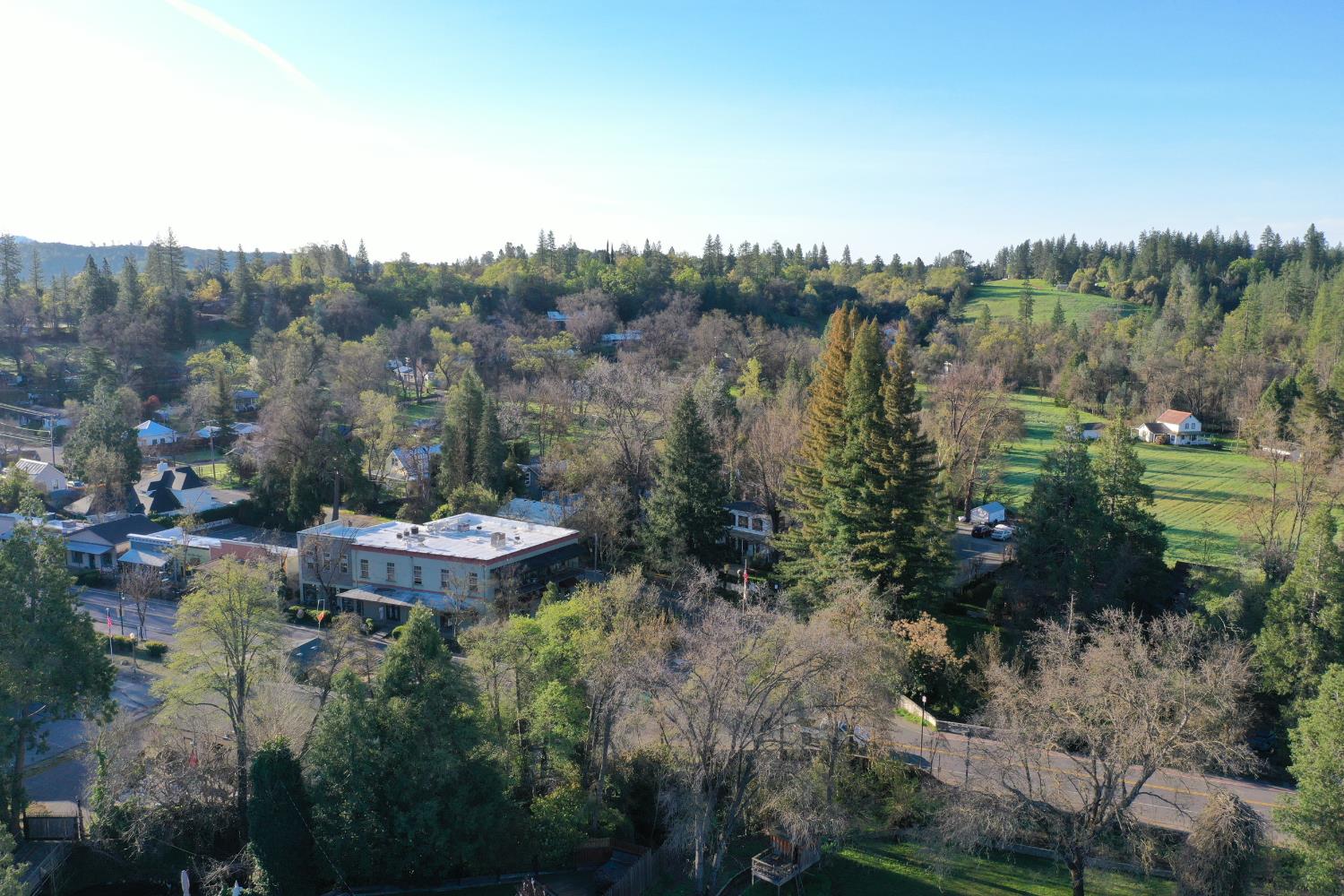 494 Surrey Court Murphys, CA 95247 - Photo 18 of 76 a view of a lake in middle of the forest