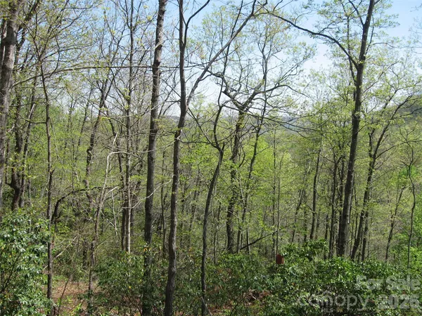 $678,000 | 313 Line Runner Ridge Road, Brevard, NC 28712