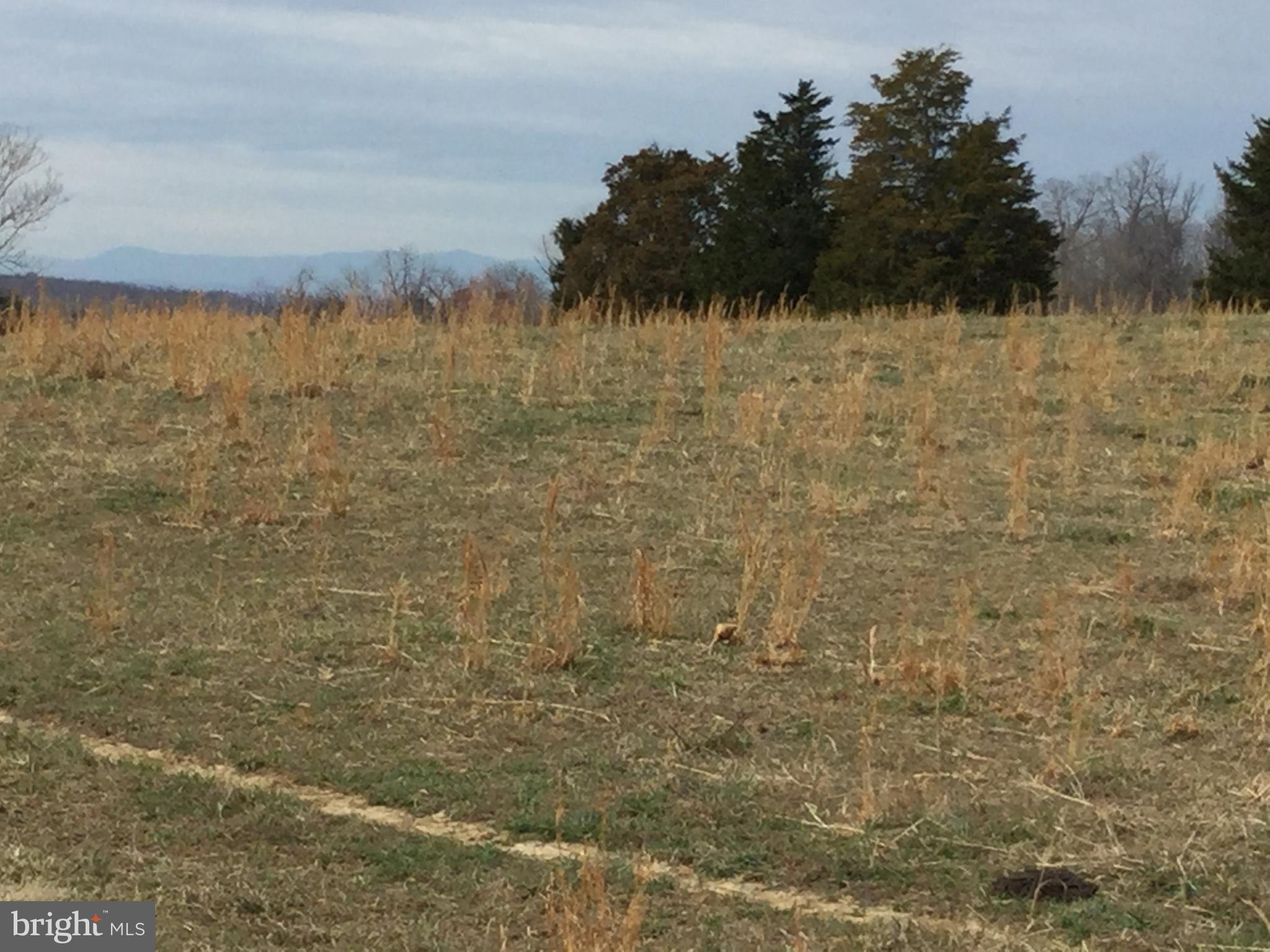 0 Ryland Chapel Road Jeffersonton, VA 22724 - Photo 1 of 13