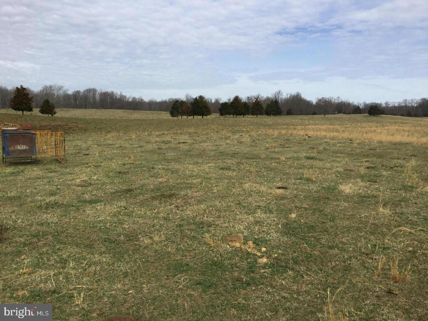 0 Ryland Chapel Road Jeffersonton, VA 22724 - Photo 11 of 13