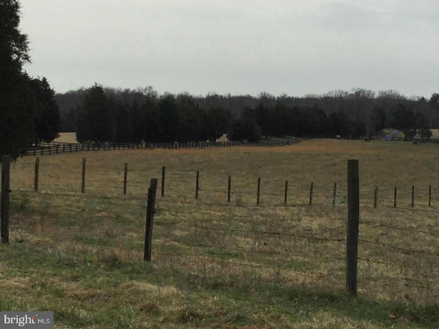 0 Ryland Chapel Road Jeffersonton, VA 22724 - Photo 12 of 13
