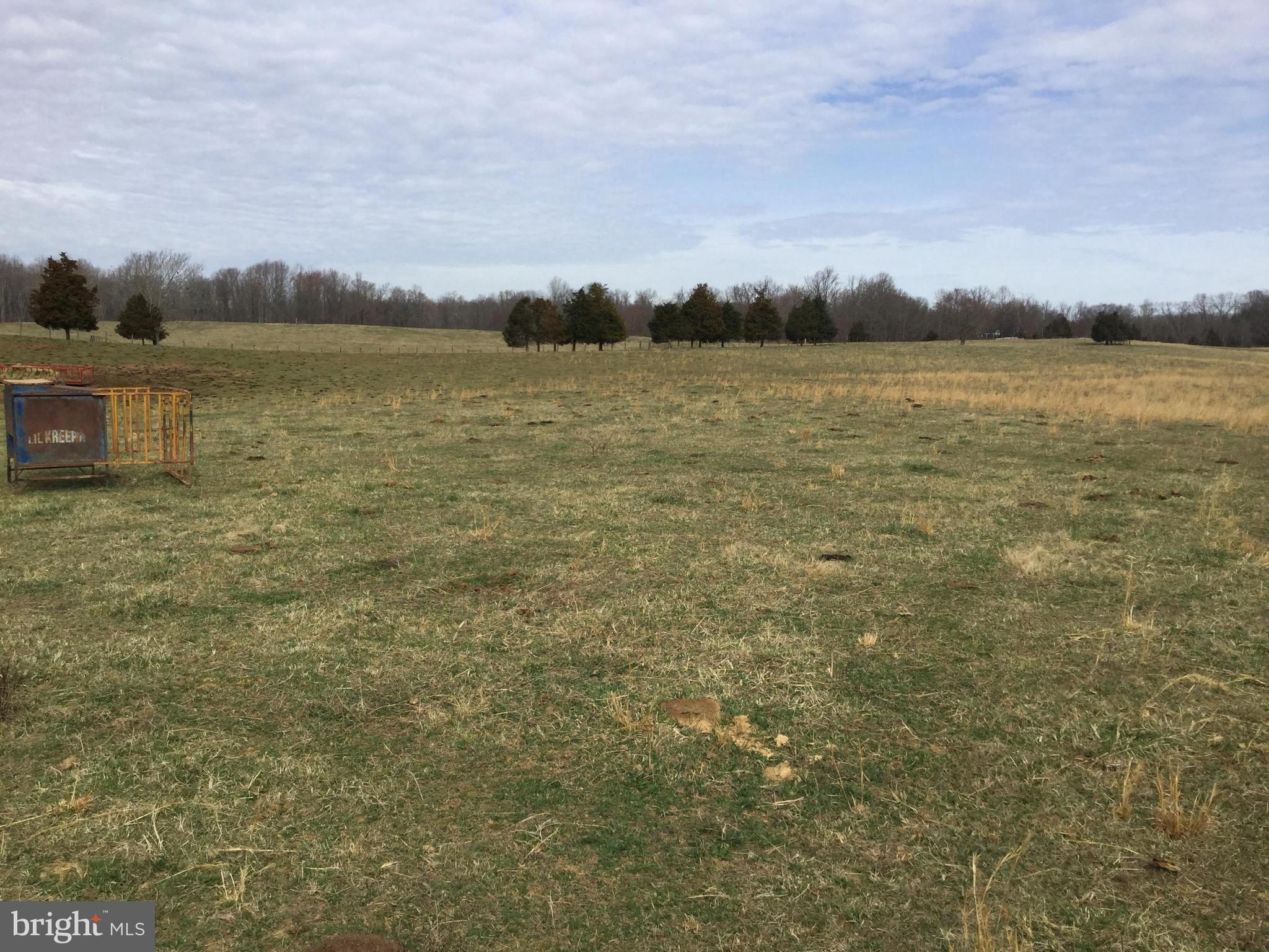 0 Ryland Chapel Road Jeffersonton, VA 22724 - Photo 2 of 13