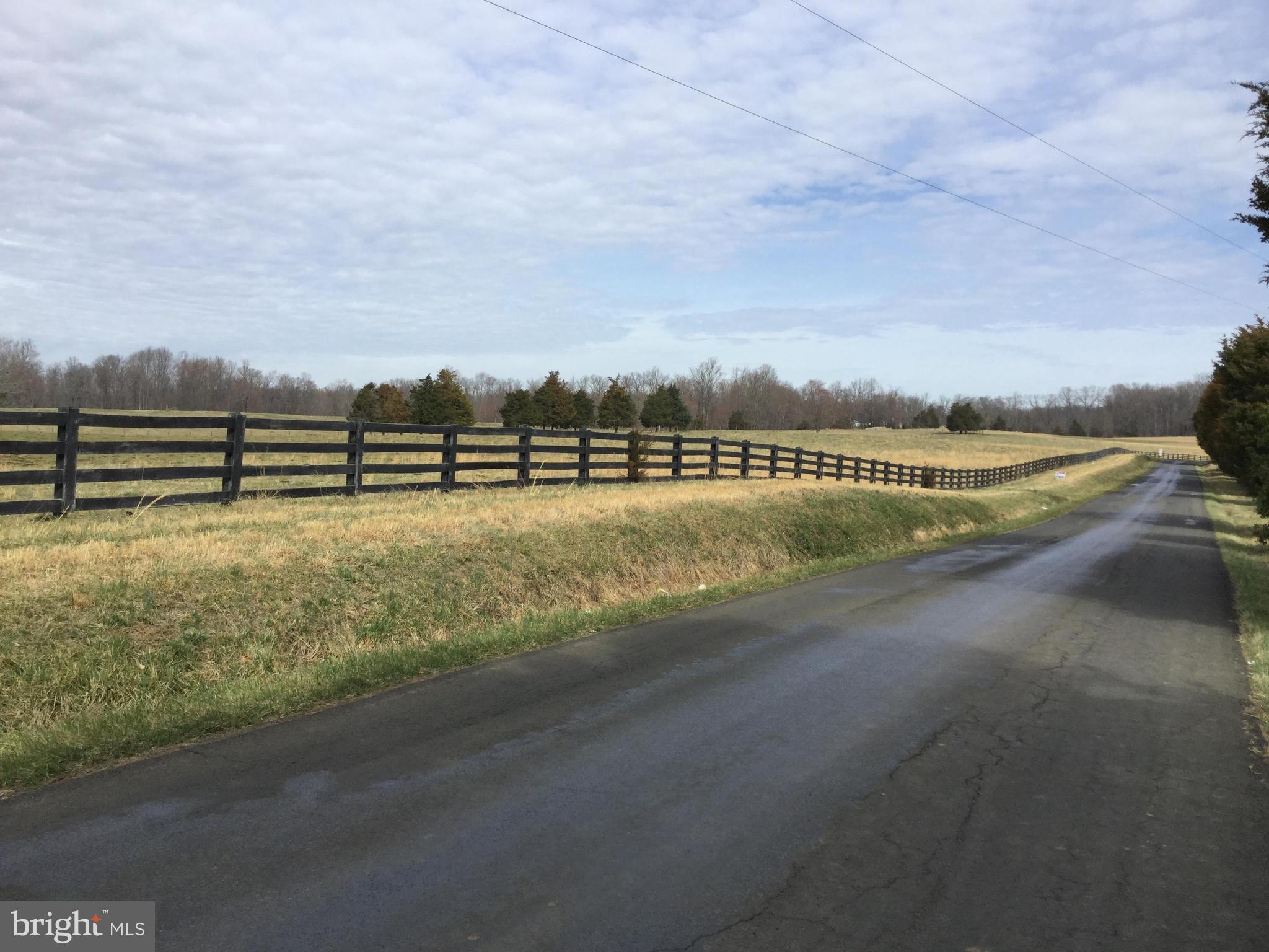0 Ryland Chapel Road Jeffersonton, VA 22724 - Photo 3 of 13