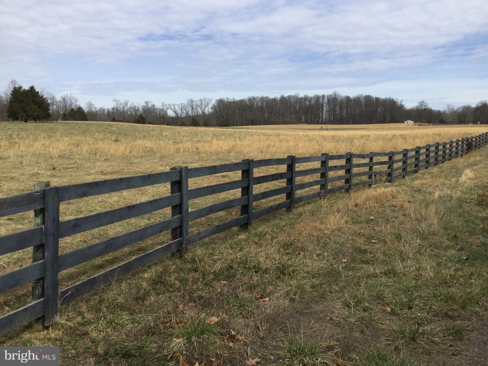 0 Ryland Chapel Road Jeffersonton, VA 22724 - Photo 4 of 13