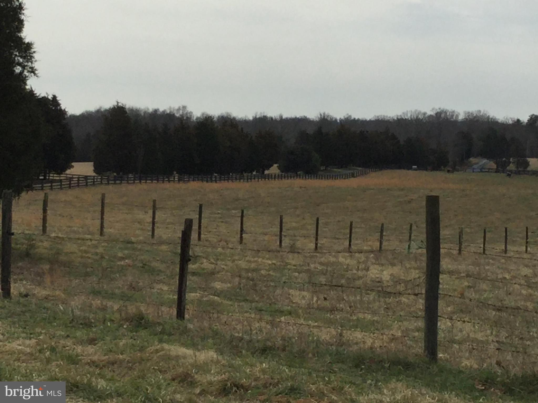 0 Ryland Chapel Road Jeffersonton, VA 22724 - Photo 5 of 13