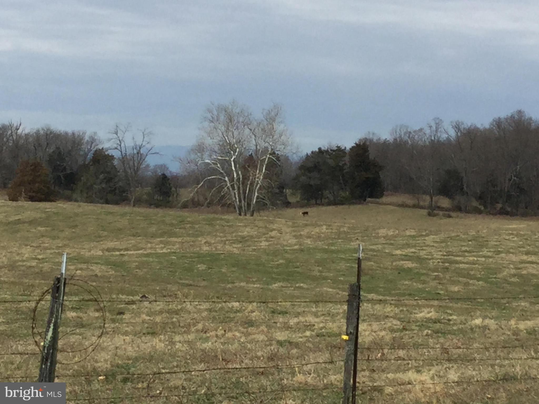 0 Ryland Chapel Road Jeffersonton, VA 22724 - Photo 6 of 13