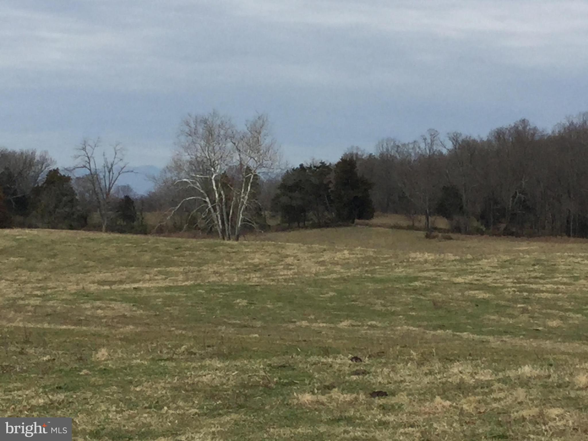 0 Ryland Chapel Road Jeffersonton, VA 22724 - Photo 7 of 13