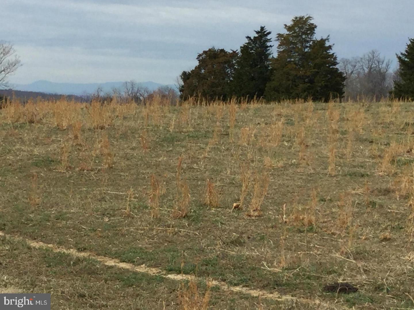 0 Ryland Chapel Road Jeffersonton, VA 22724 - Photo 9 of 13