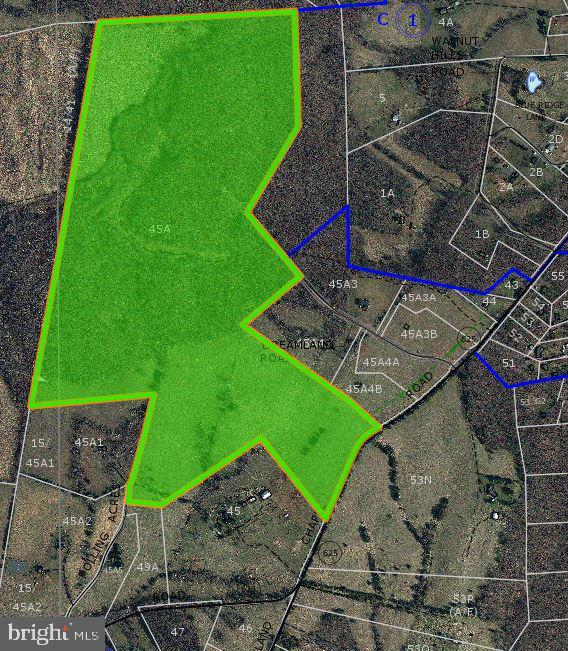 0 Ryland Chapel Road Jeffersonton, VA 22724 - Photo 10 of 13