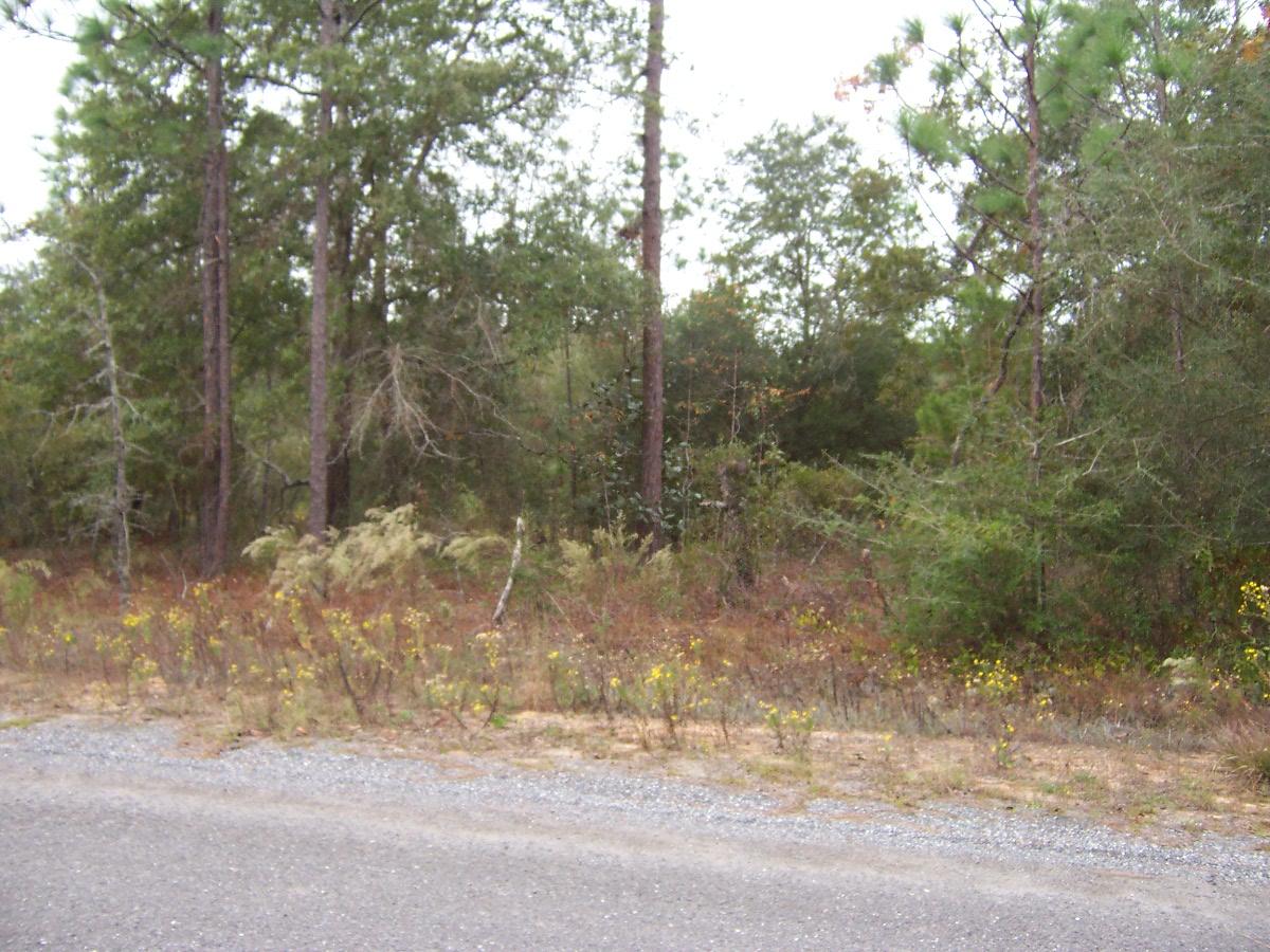 4-lots Michaelangelo Road DeFuniak Springs, FL 32433 - Photo 2 of 4 100_6354