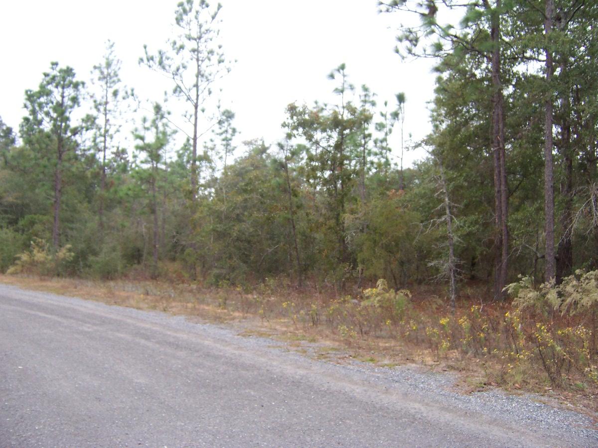 4-lots Michaelangelo Road DeFuniak Springs, FL 32433 - Photo 3 of 4 100_6355