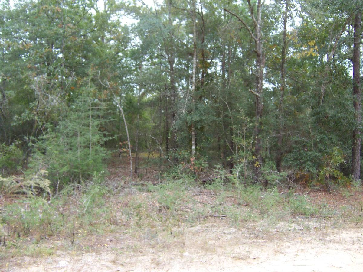 4-lots Michaelangelo Road DeFuniak Springs, FL 32433 - Photo 4 of 4 100_6356