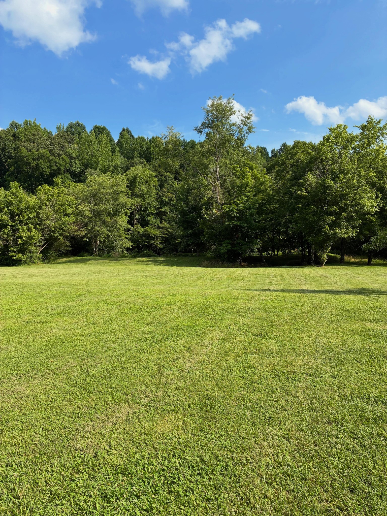 1355 Turkey Creek Road Dickson, TN 37055 - Photo 5 of 6