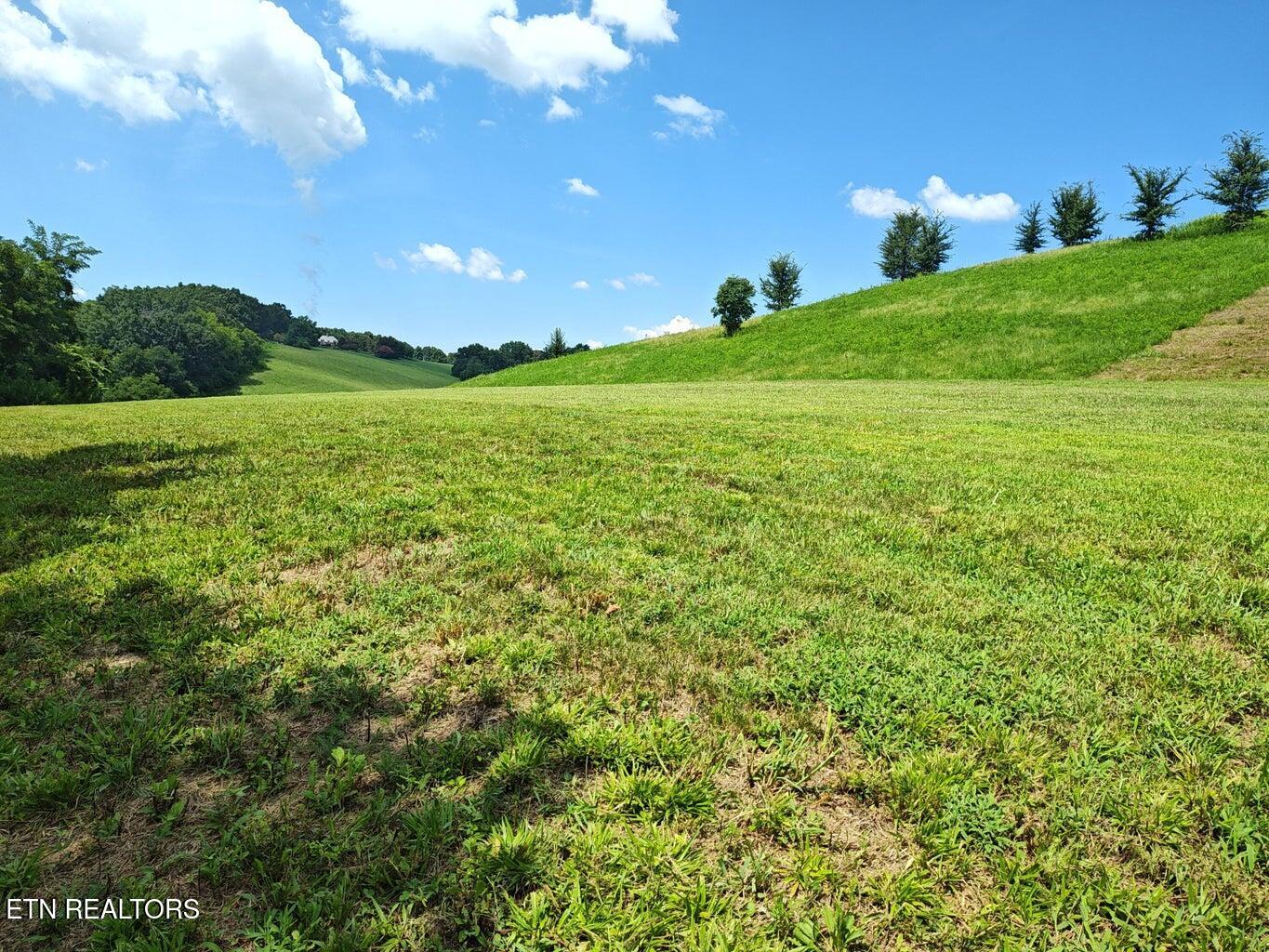 Espalier Drive, Unit 72 Decatur, TN 37322 - Photo 9 of 14 20250725153657906873000000-o