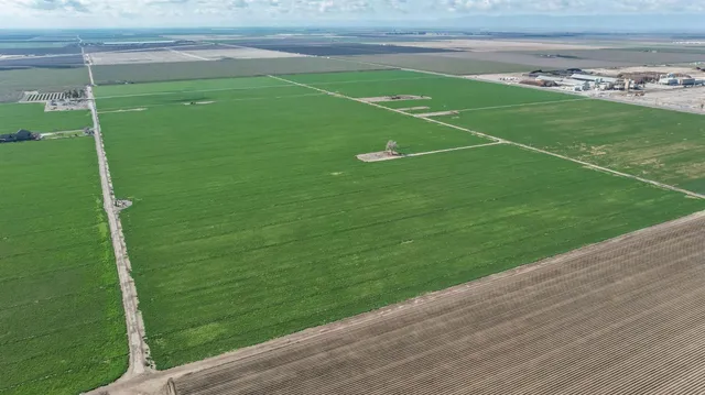 a view of a green field