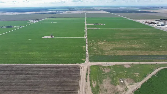 a view of a garden from a balcony
