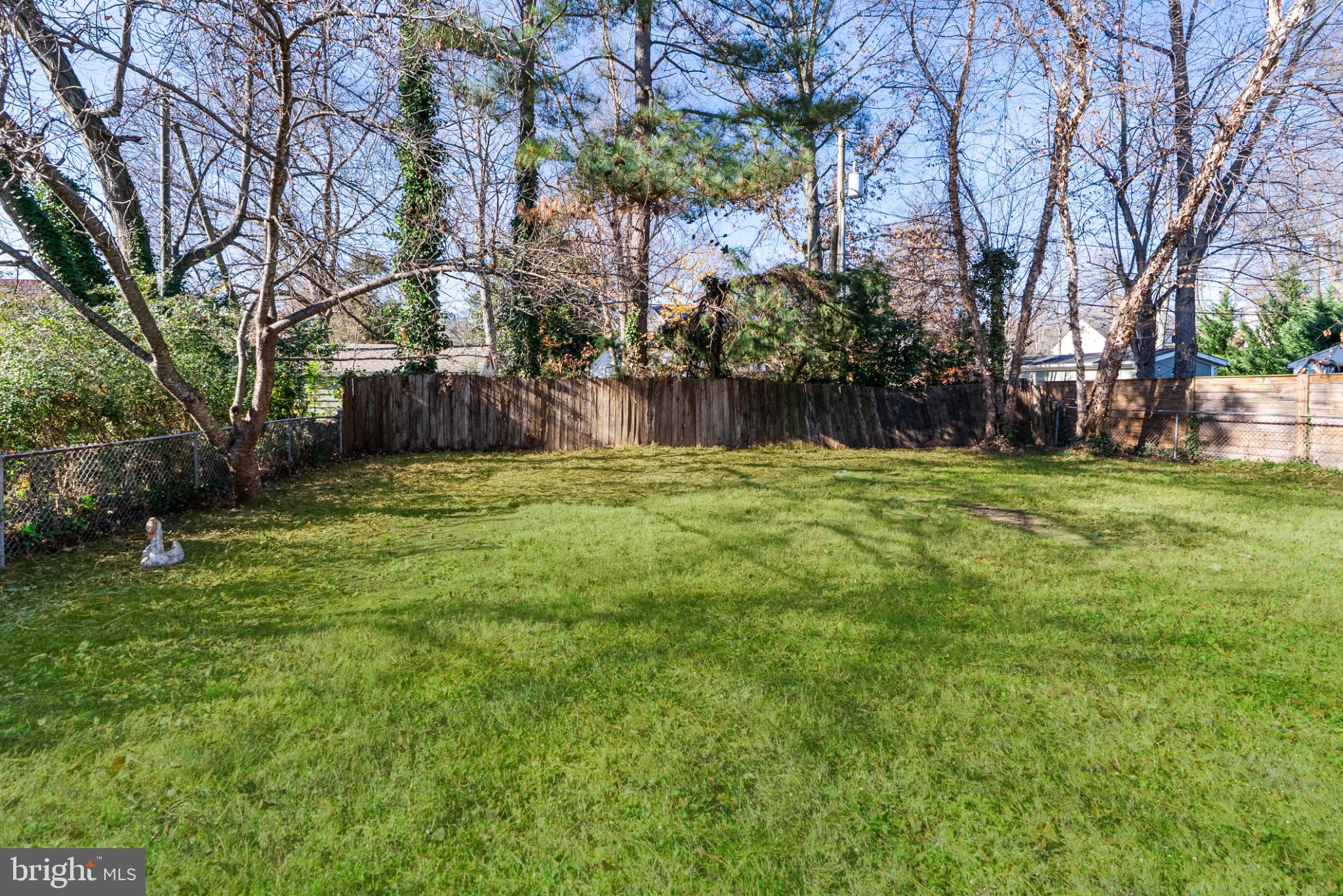 6430 Fourteenth Street Alexandria, VA 22307 - Photo 49 of 55 Spacious backyard oasis with lush greenery.