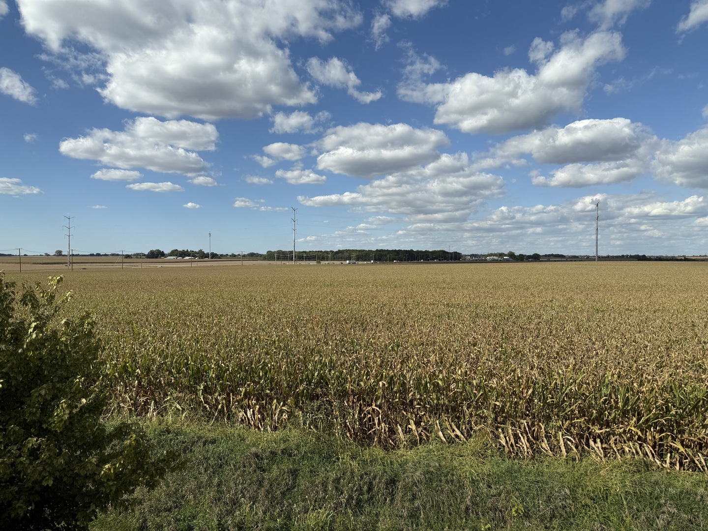 161 Willoughby Court Yorkville, IL 60560 - Photo 20 of 20