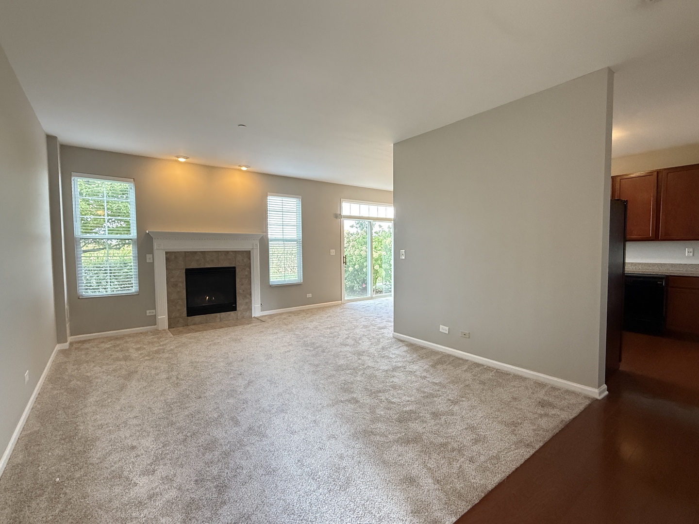 161 Willoughby Court Yorkville, IL 60560 - Photo 3 of 20