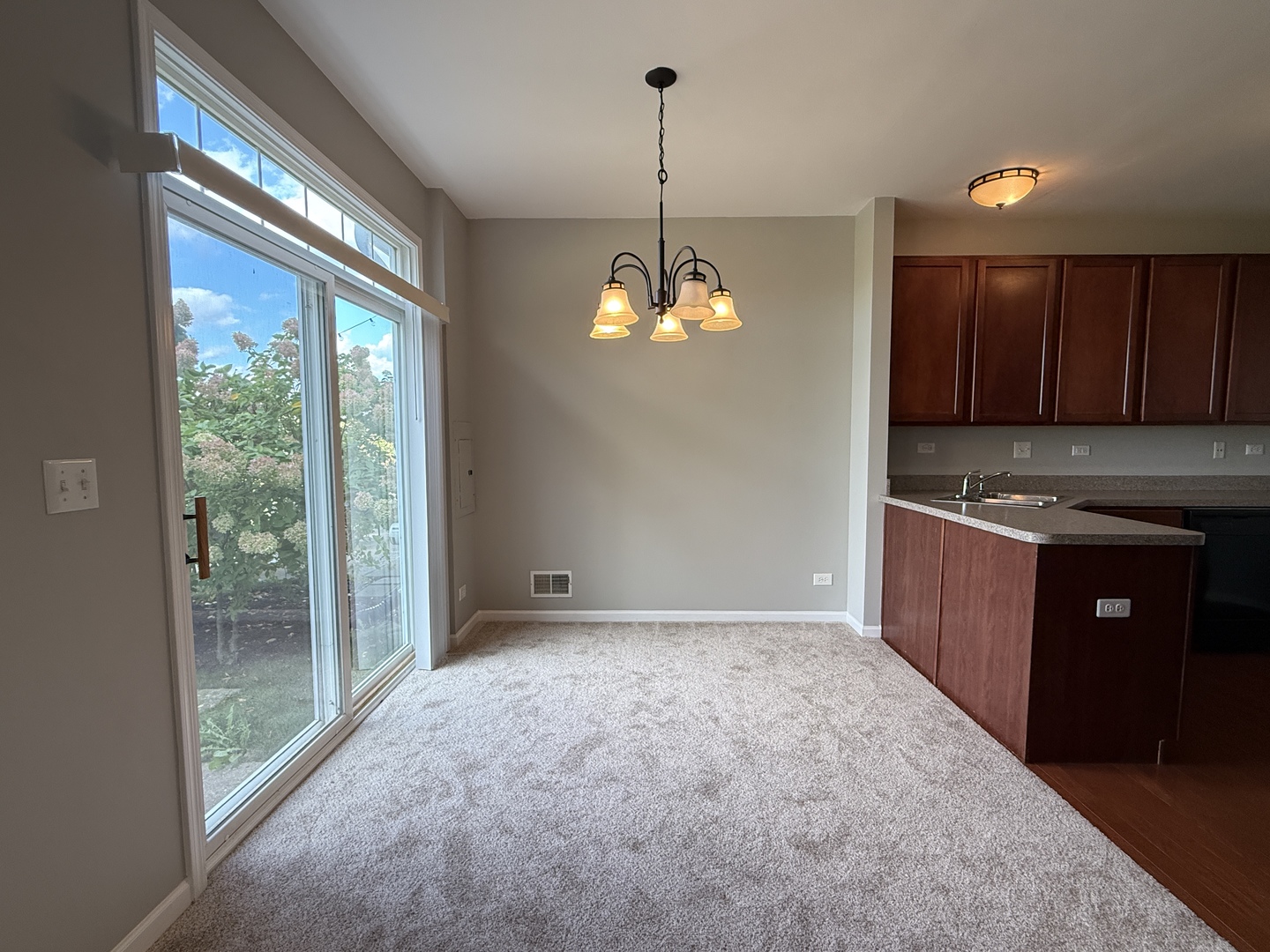 161 Willoughby Court Yorkville, IL 60560 - Photo 6 of 20