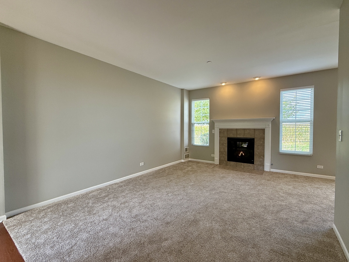 161 Willoughby Court Yorkville, IL 60560 - Photo 9 of 20