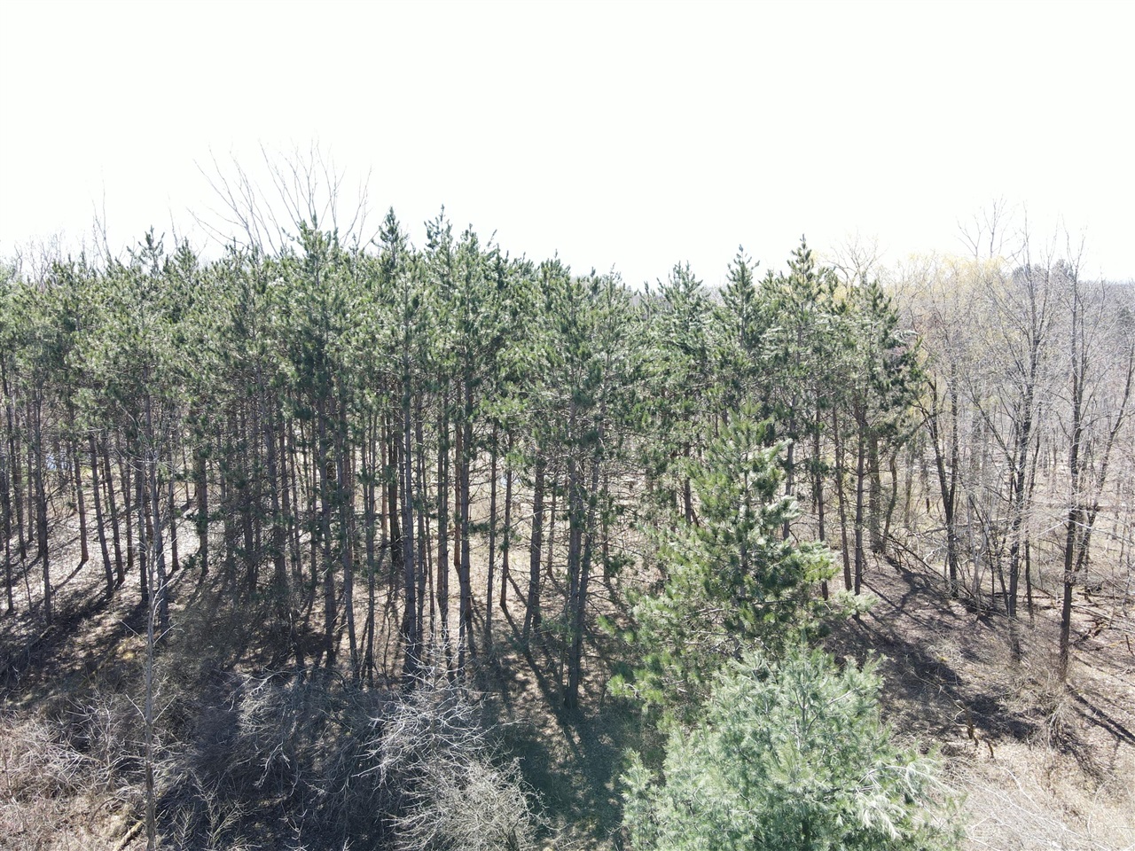 20 West A W Coe Road Shepherd, MI 48883 - Photo 10 of 15