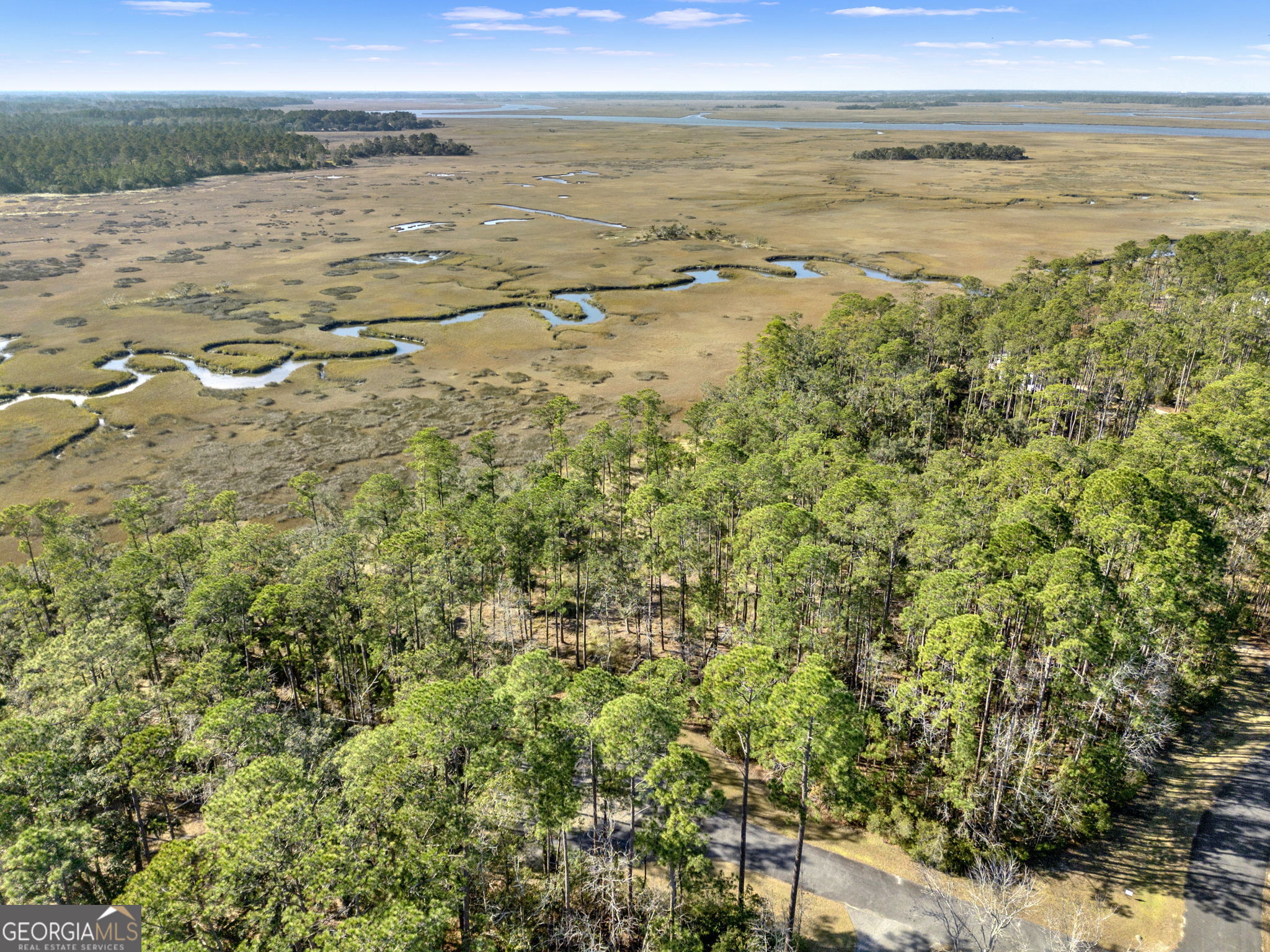 Lot 138 Sapelo Circle Townsend, GA 31331 - Photo 3 of 29 a view of an ocean