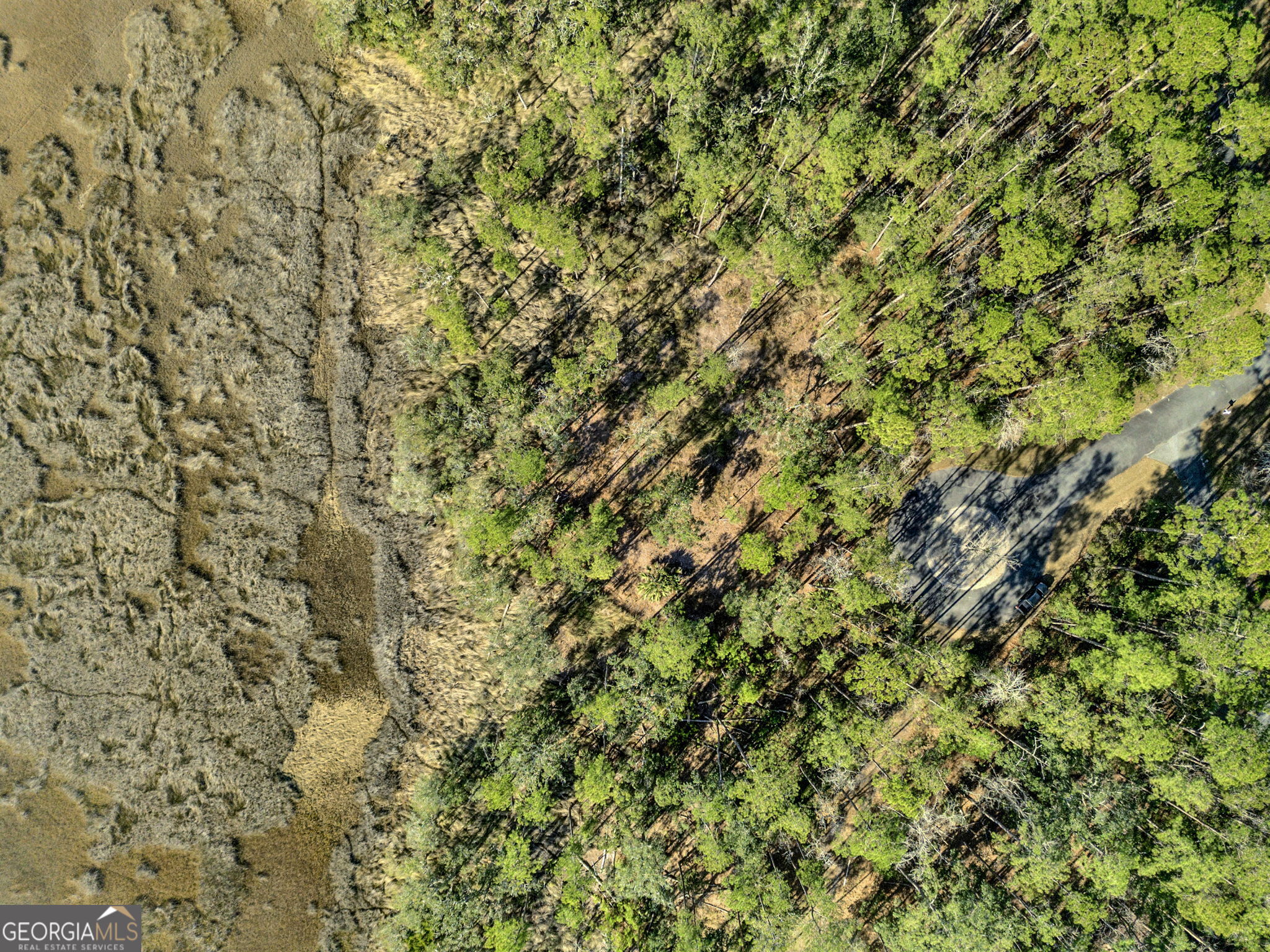 Lot 138 Sapelo Circle Townsend, GA 31331 - Photo 4 of 29 a view of a tree