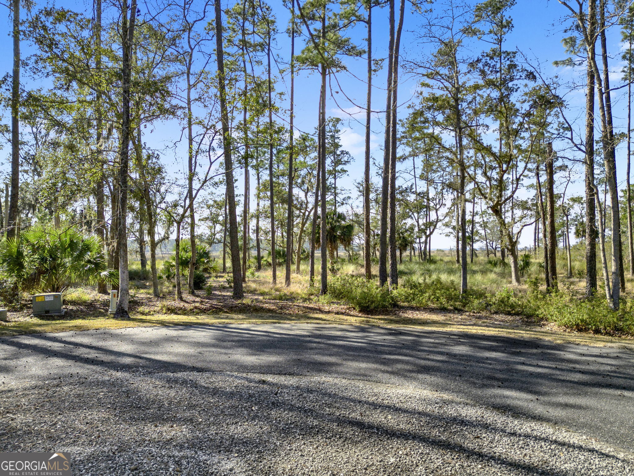 Lot 138 Sapelo Circle Townsend, GA 31331 - Photo 5 of 29 a view of a building with trees