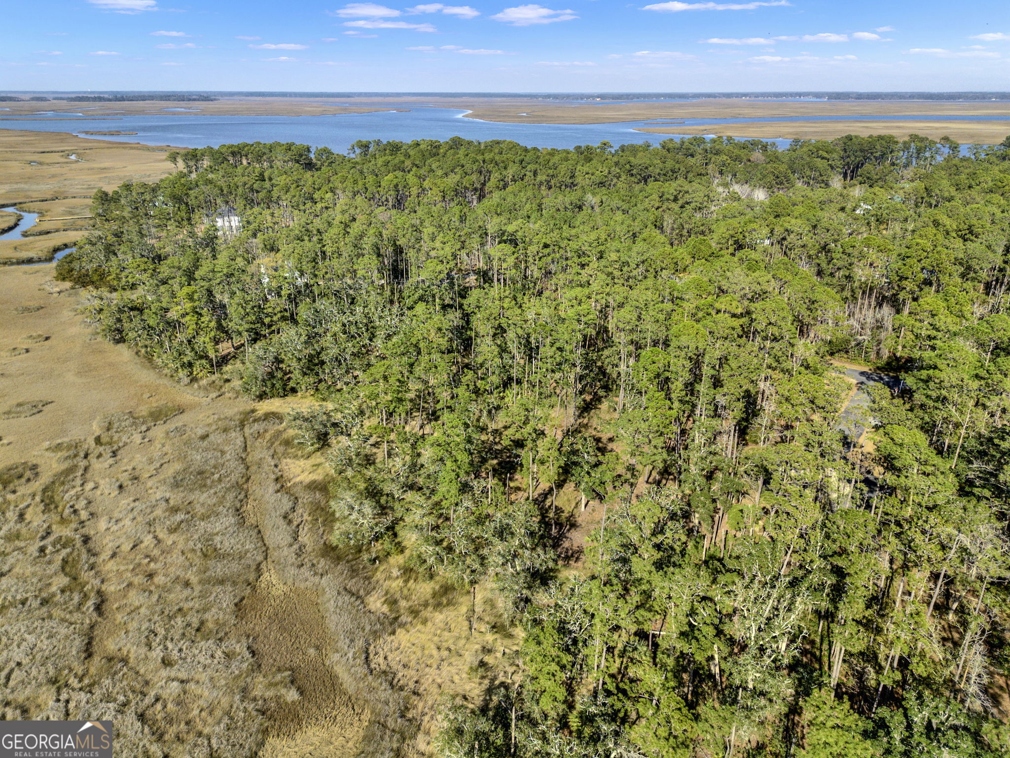 Lot 138 Sapelo Circle Townsend, GA 31331 - Photo 8 of 29 a view of a field with an outdoor space