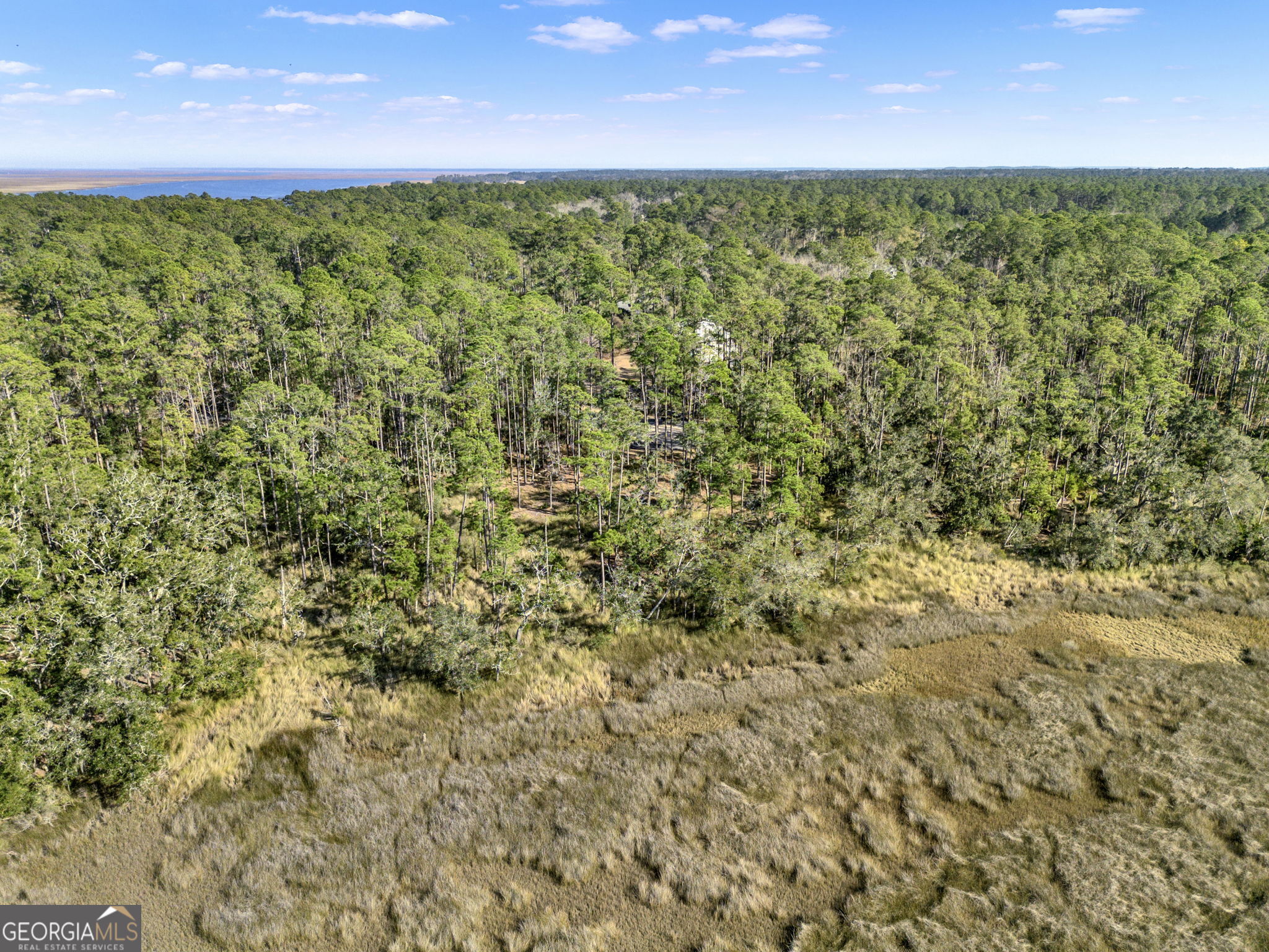Lot 138 Sapelo Circle Townsend, GA 31331 - Photo 10 of 29 a view of a yard with an outdoor space
