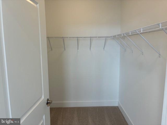 76 Valerian Loop, Unit 2 Stafford, VA 22554 - Photo 6 of 43 a view of an empty walk in closet