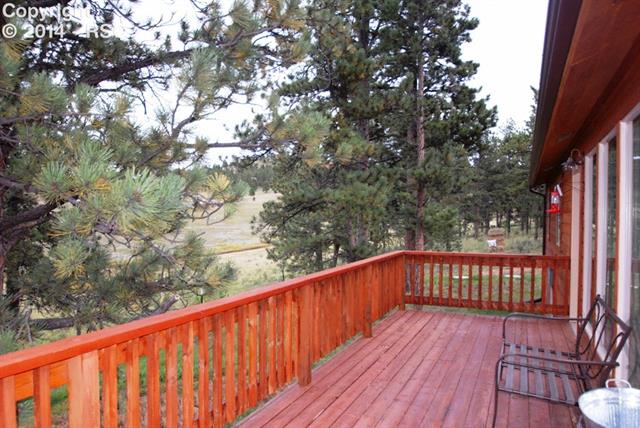 655 High Pasture Road Florissant, CO 80816 - Photo 16 of 21 Gallery Image 16
