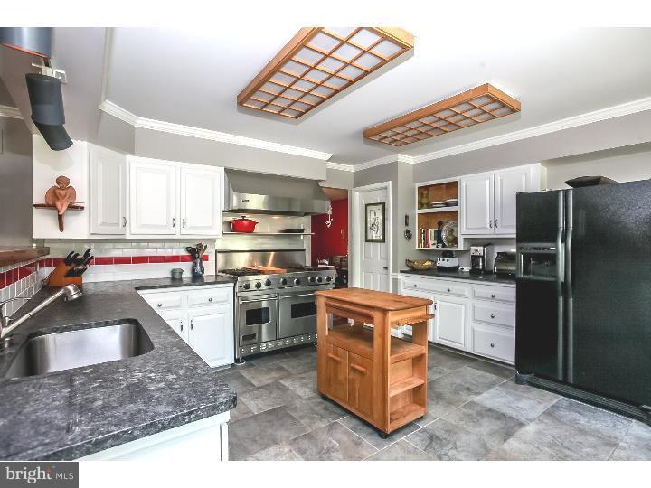284 Woodview Road West Grove, PA 19390 - Photo 8 of 25 Kitchen