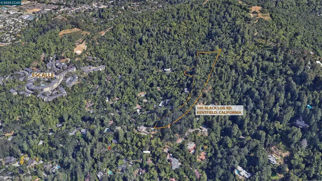 a picture of street light pole