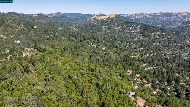 a view of a lush green field