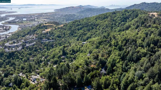 a view of a lush green forest with trees and houses