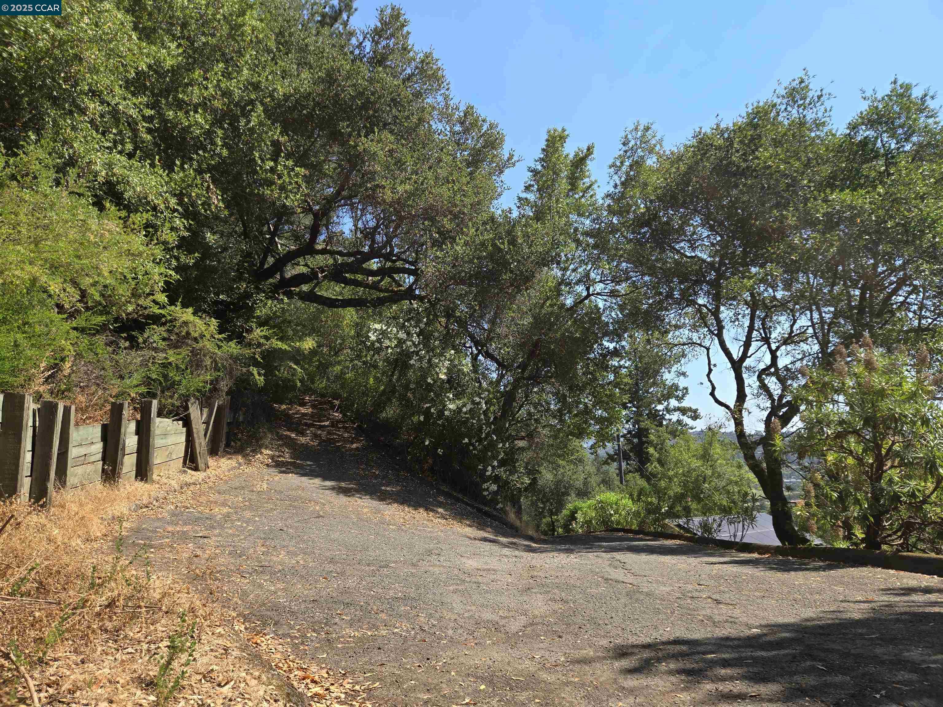 100 Black Log Road Kentfield, CA 94904 - Photo 2 of 27 a view of outdoor space and yard