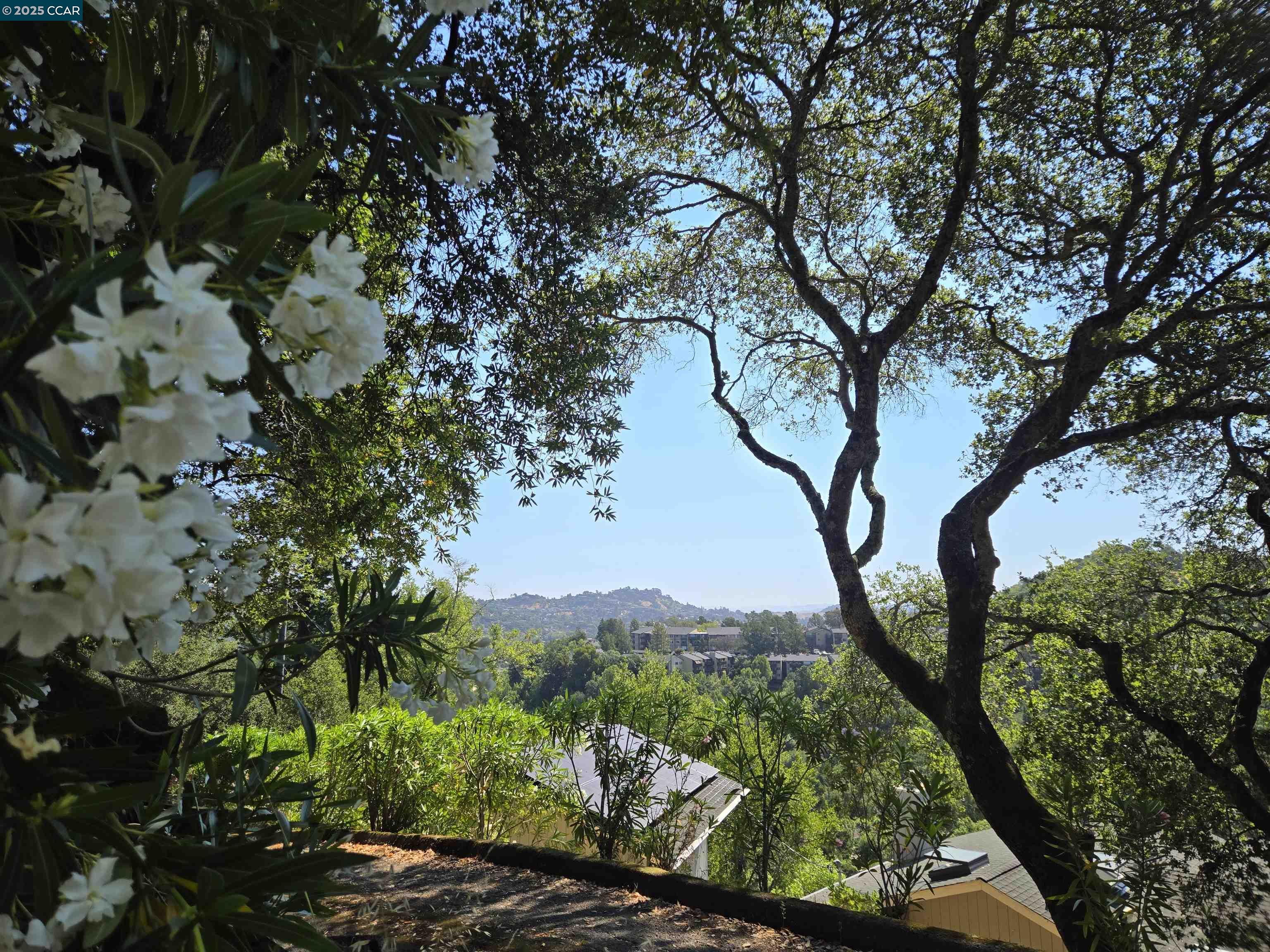 100 Black Log Road Kentfield, CA 94904 - Photo 25 of 27 a view of mountain view with lots of trees